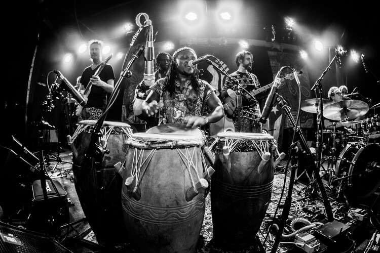 Bortier Okoe, wedding band in Adelaide, photo 3
