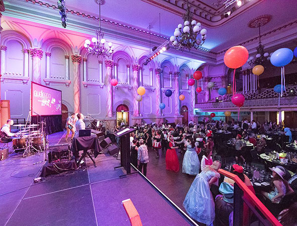 Audio Zoo, cover band in Adelaide, photo 3