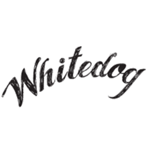 Whitedog, musical soloist in Albury