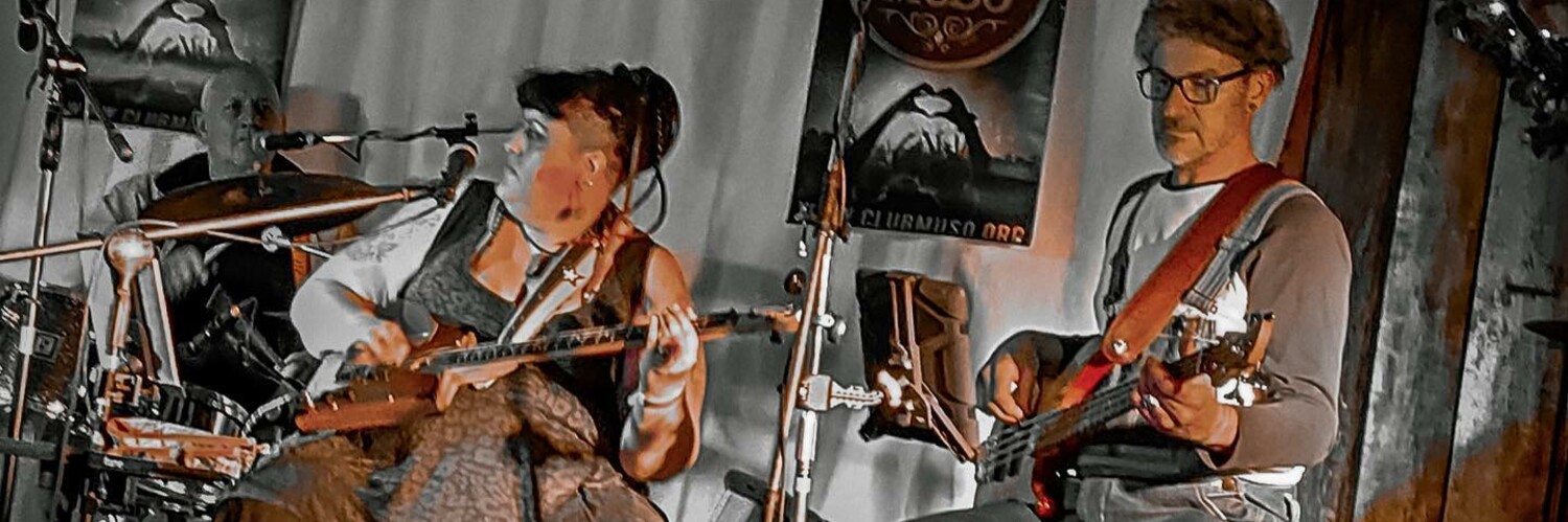 Memphis Nights & The Mojo Sapiens, cover band in Benalla, photo 3