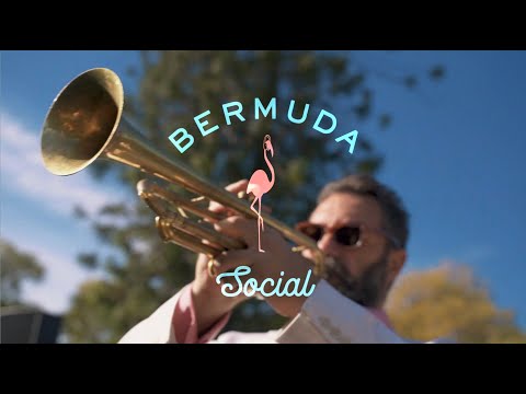 Bermuda Social, band in Sydney, photo 2