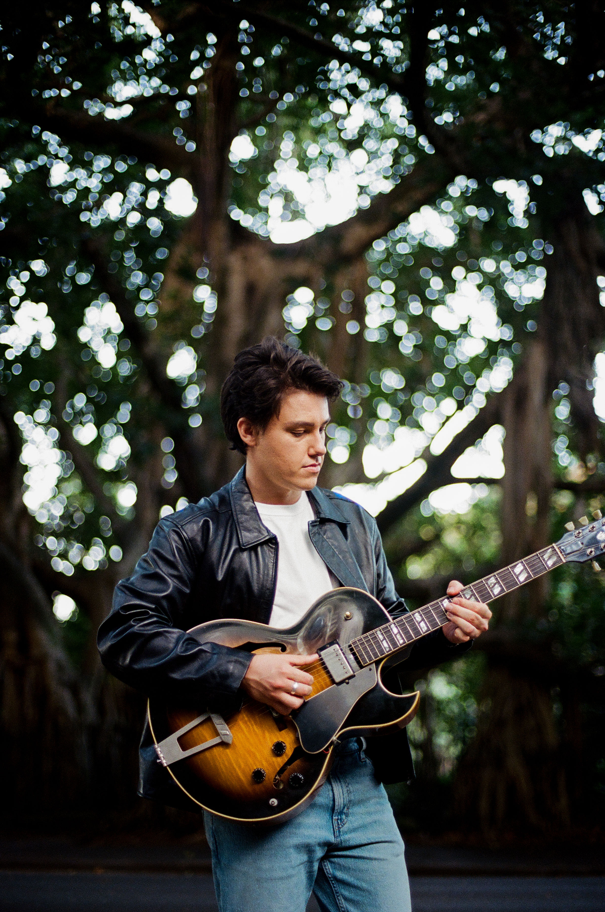 Daniel Williams, guitarist in Brisbane