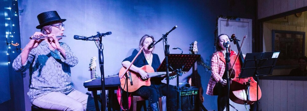 Sally Cooper, singer in Brisbane, photo 3
