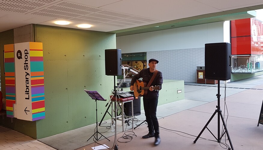 Wayne Evans, musical soloist in Brisbane, photo 3