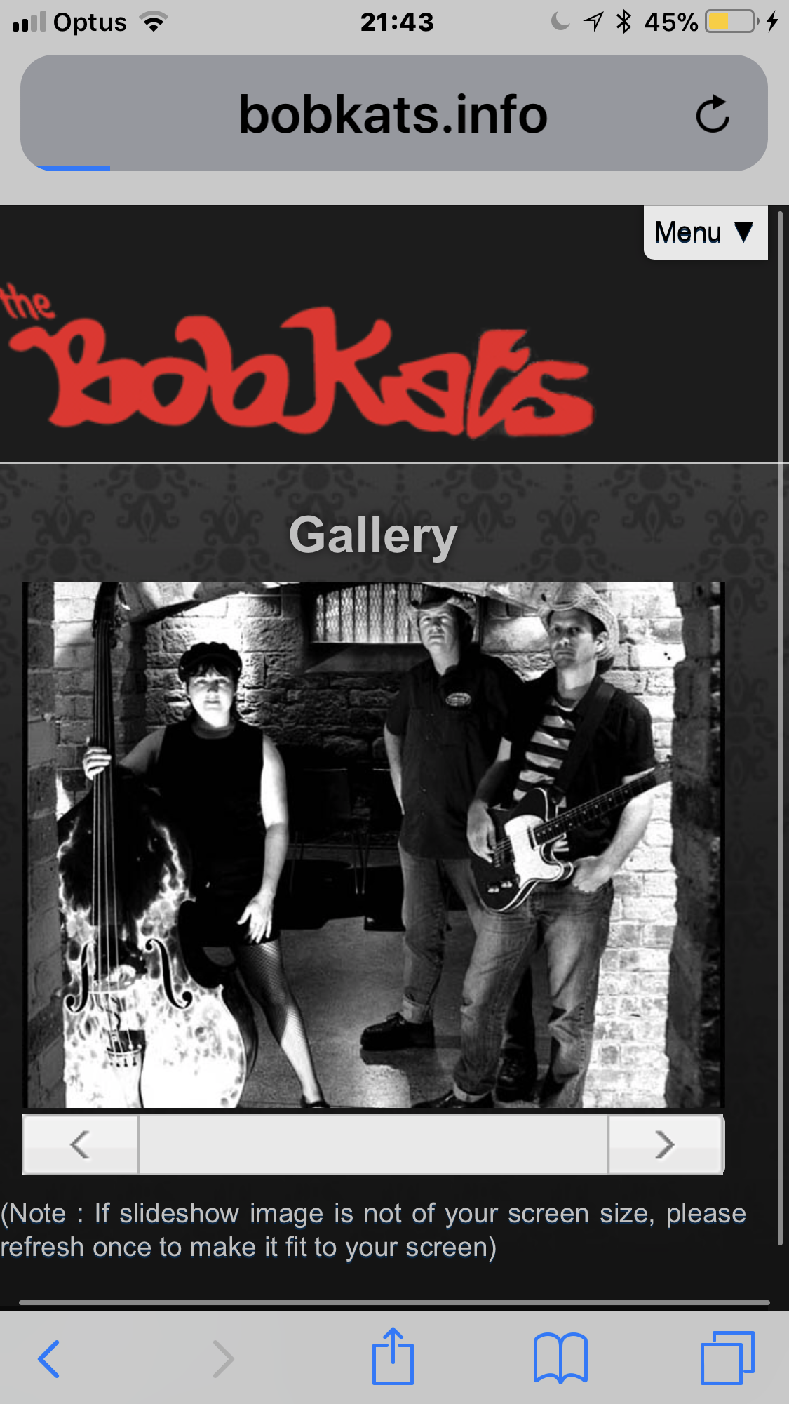 BobKats, band in Brisbane