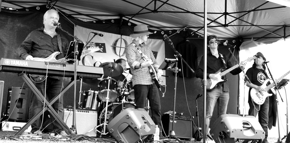 Cool Coda, cover band in Brisbane, photo 3