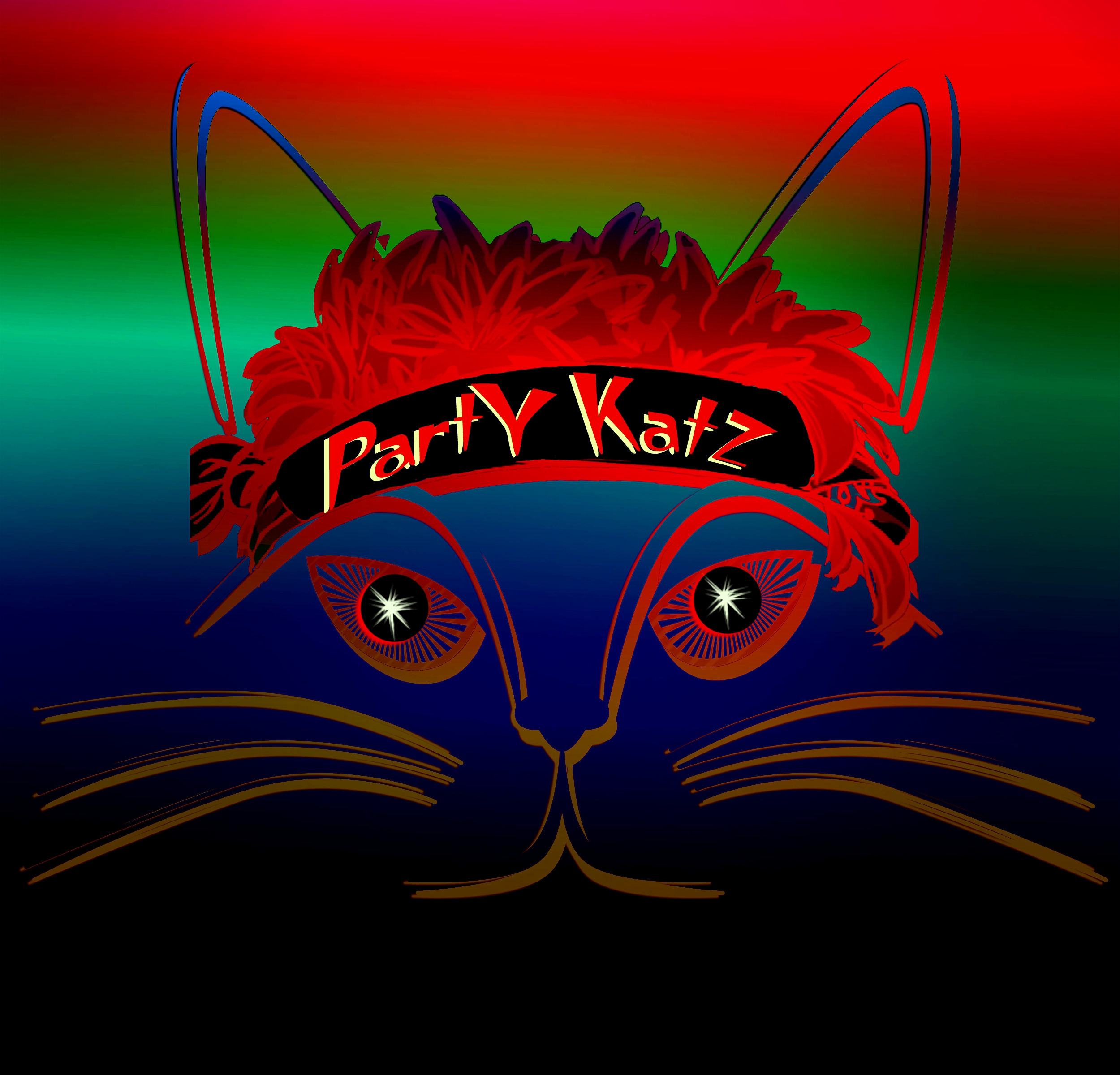 PartyKatz, cover band in Brisbane