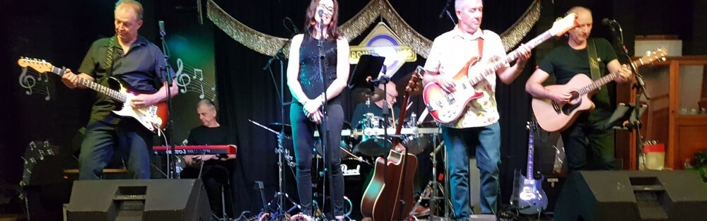 Roundabouts, cover band in Brisbane, photo 3