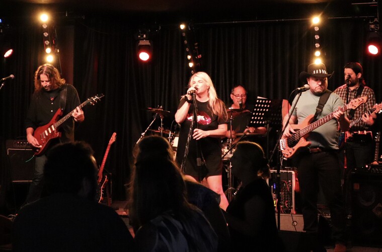 The Curve, cover band in Brisbane