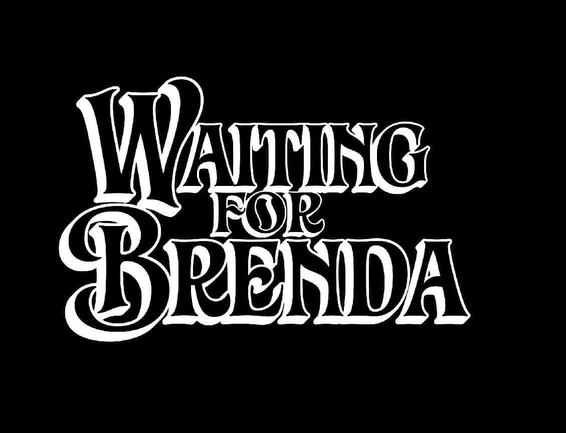 Waiting for Brenda, cover band in Brisbane, photo 2