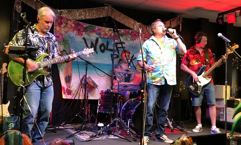 Wolfpack, cover band in Brisbane, photo 3
