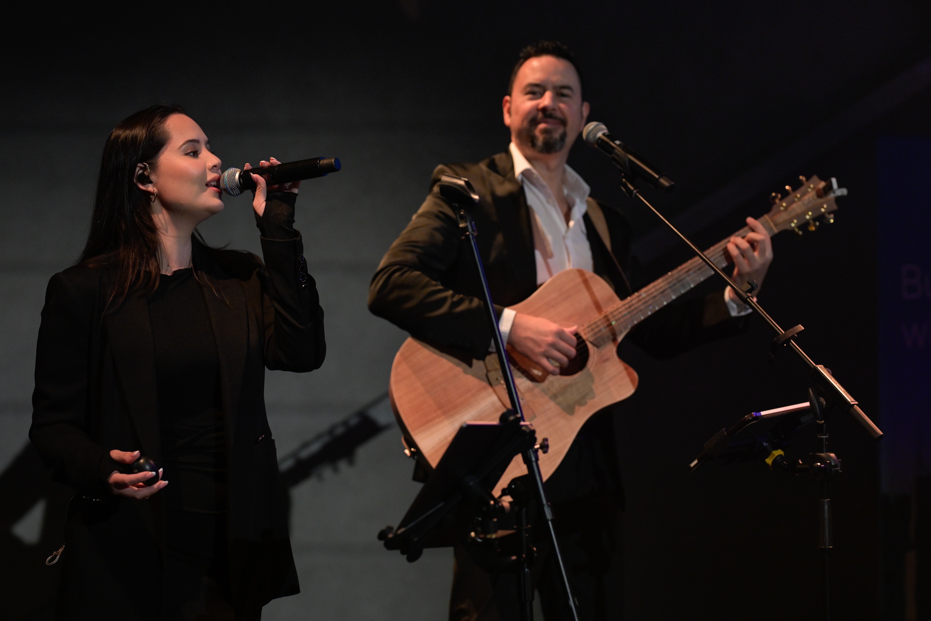 The Lux Duo, musical duo in Brisbane, photo 2