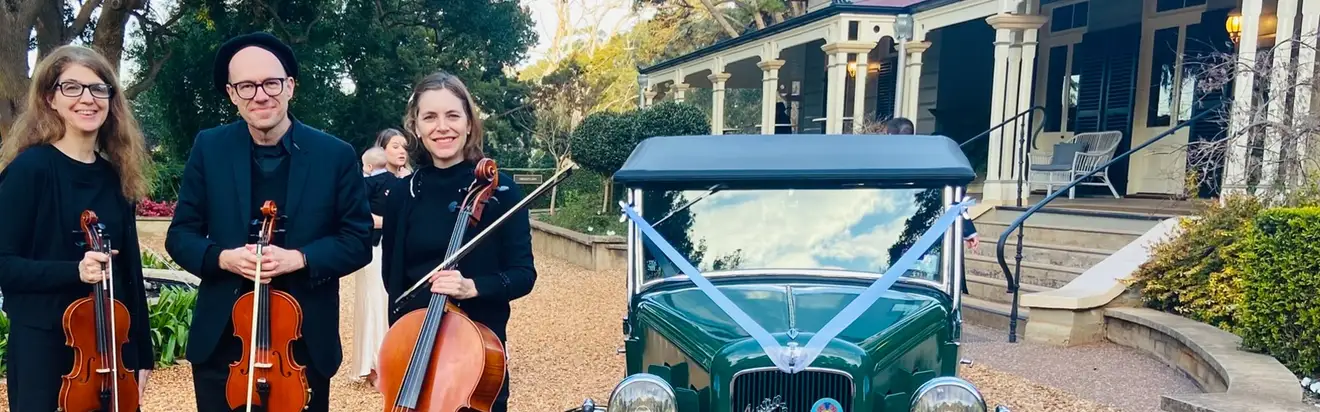 Jarger, string quartet in Brisbane, photo 2