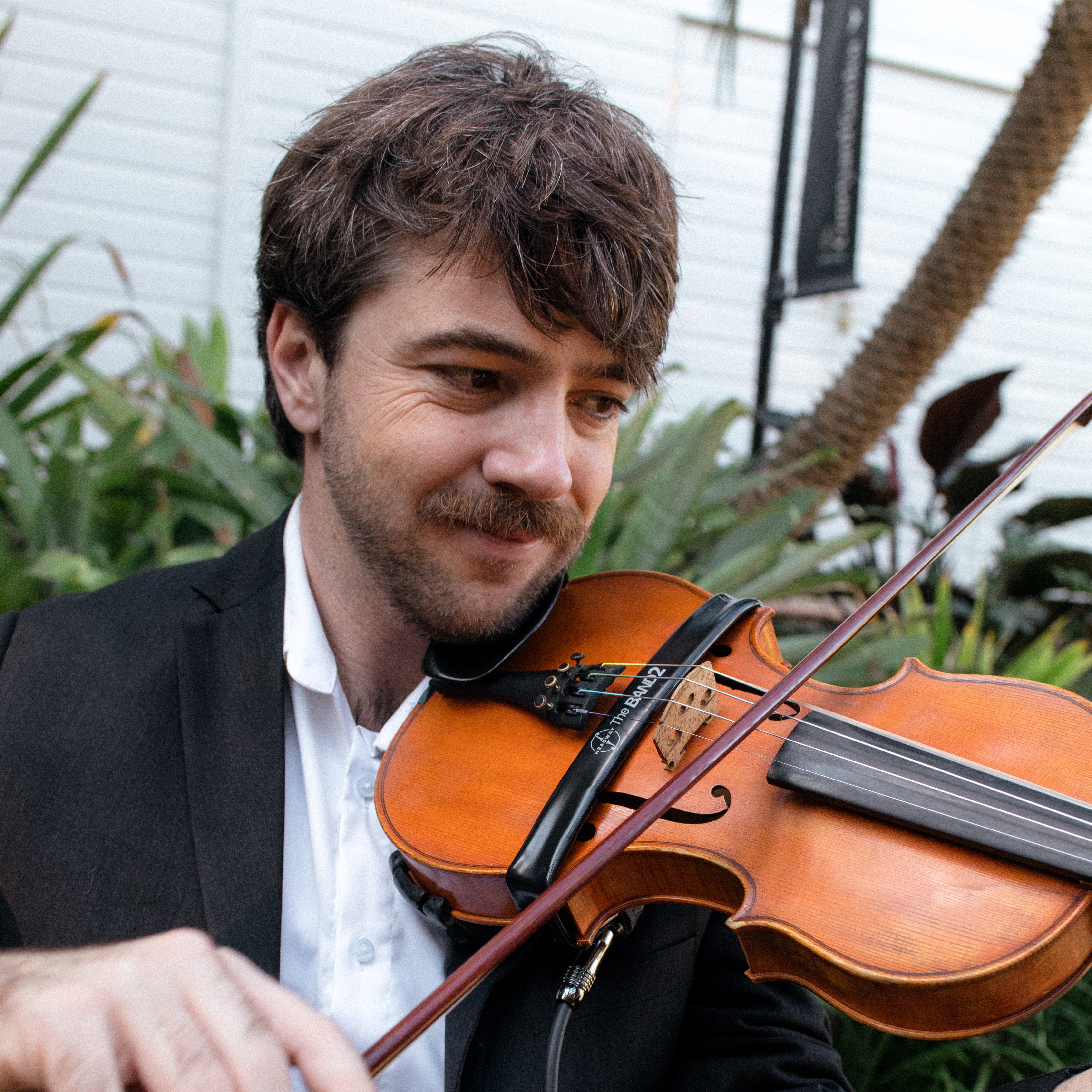 Gareth Mewes, violinist in Brisbane