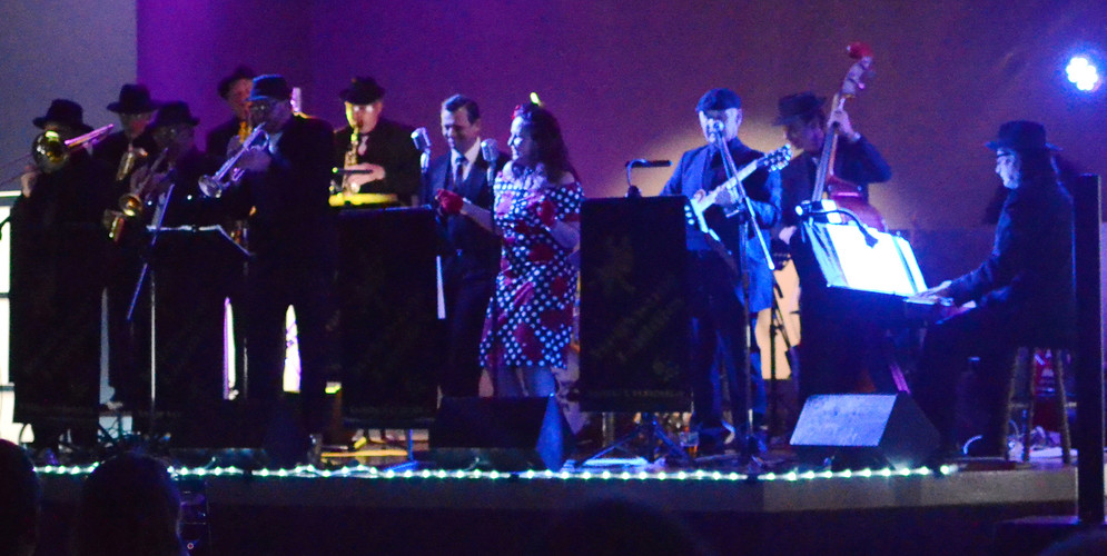 The WellSwung Daddies, band in Byron Bay, photo 3