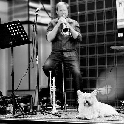 Govinda Abbott, trumpet player in Byron Bay, photo 2