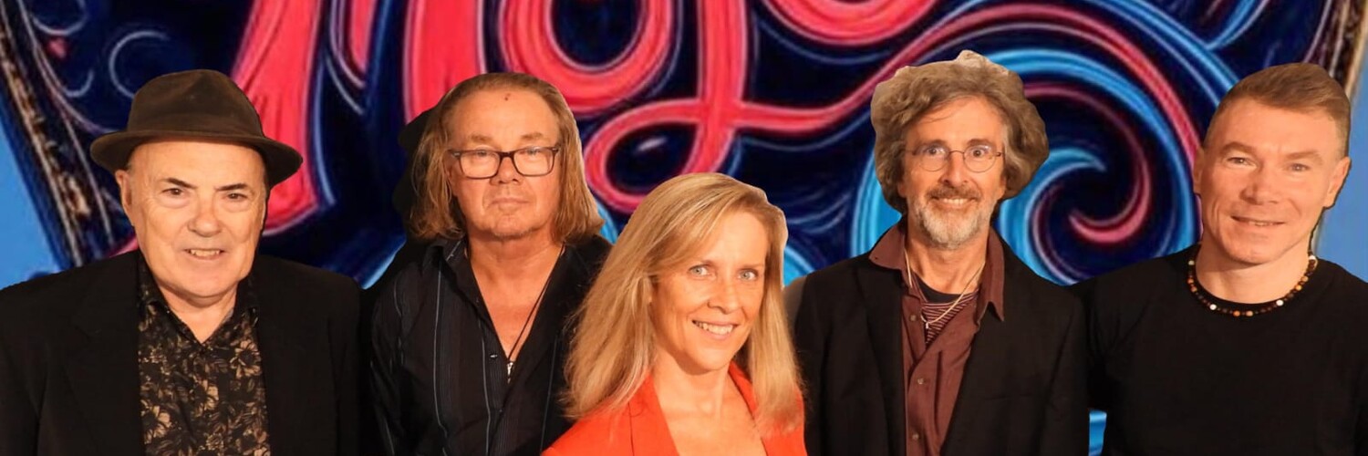 Mojo Gogo, cover band in Central Coast, photo 2