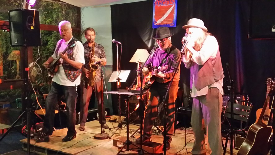 RareTreats, folk band in Central Coast, photo 3