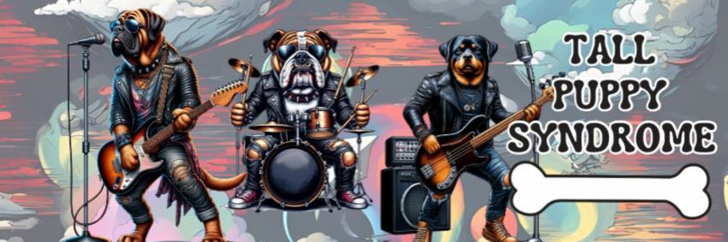Tall Puppy Syndrome, cover band in Goulburn, photo 3