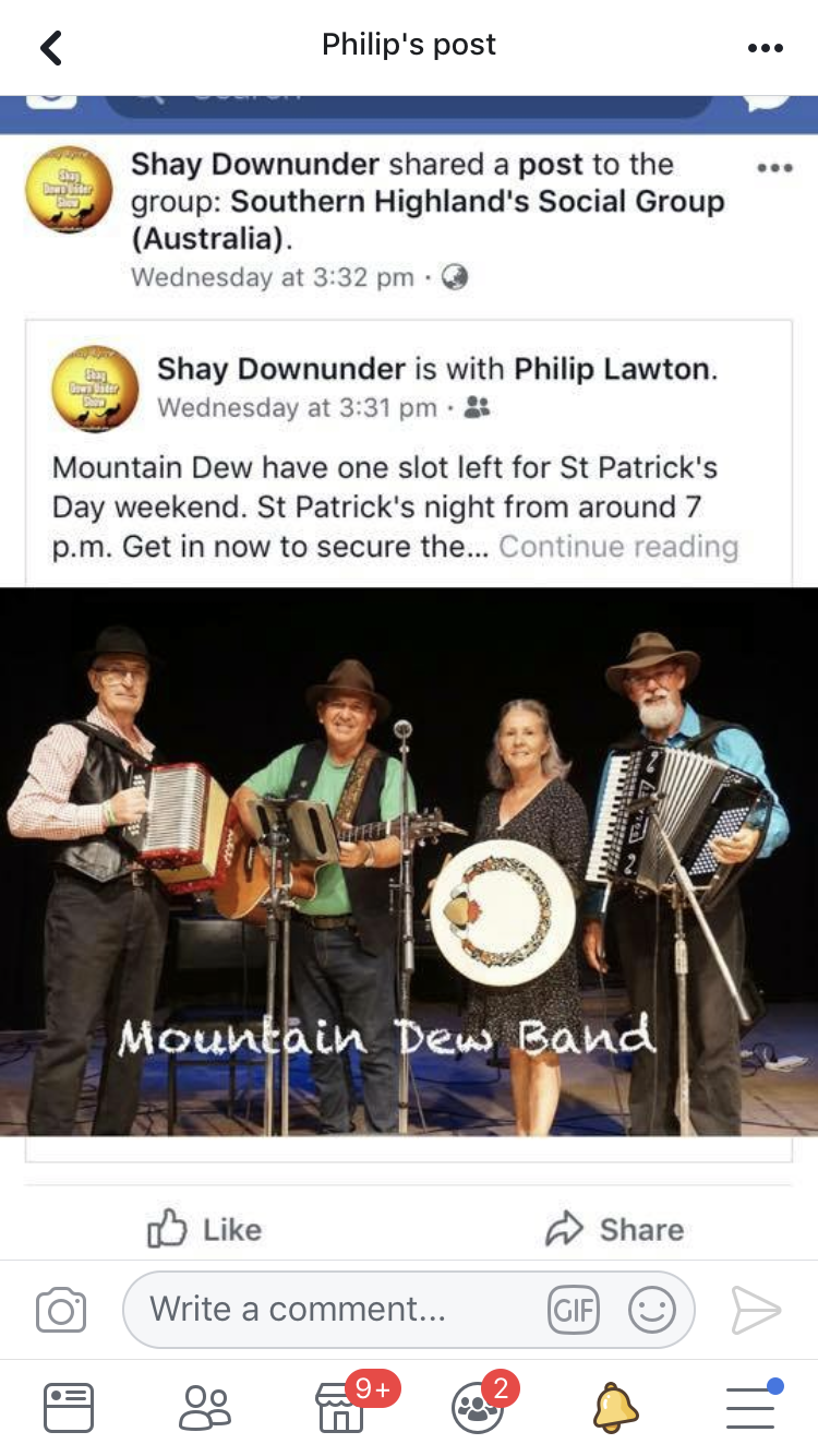 The Mountain Dew band, celtic band in Goulburn, photo 2