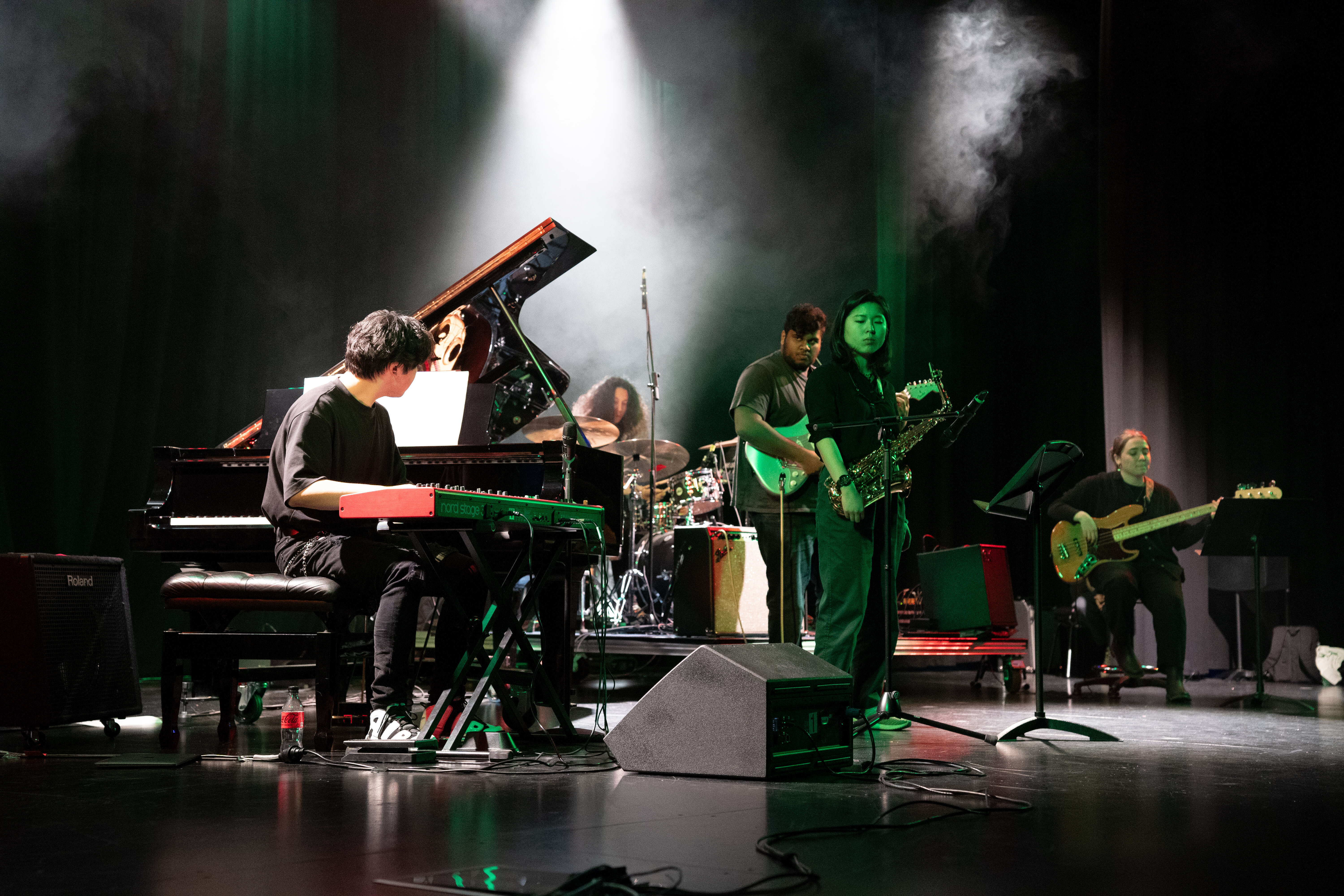 Blue Cosmos, cover band in Melbourne