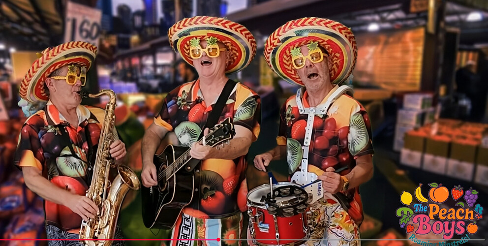 The Jackson Combo, cover band in Melbourne, photo 3