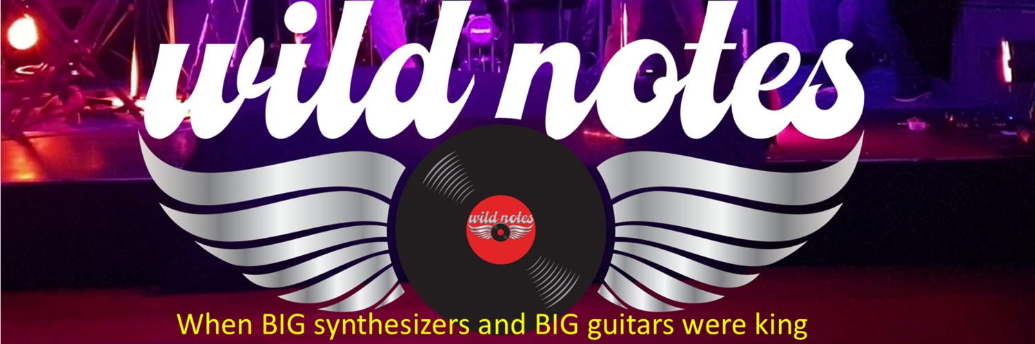 Wild Notes, cover band in Melbourne, photo 2