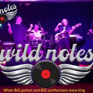 Wild Notes, cover band in Melbourne