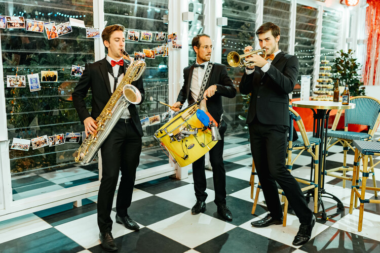 Not My Circus!, musical trio in Melbourne, photo 3