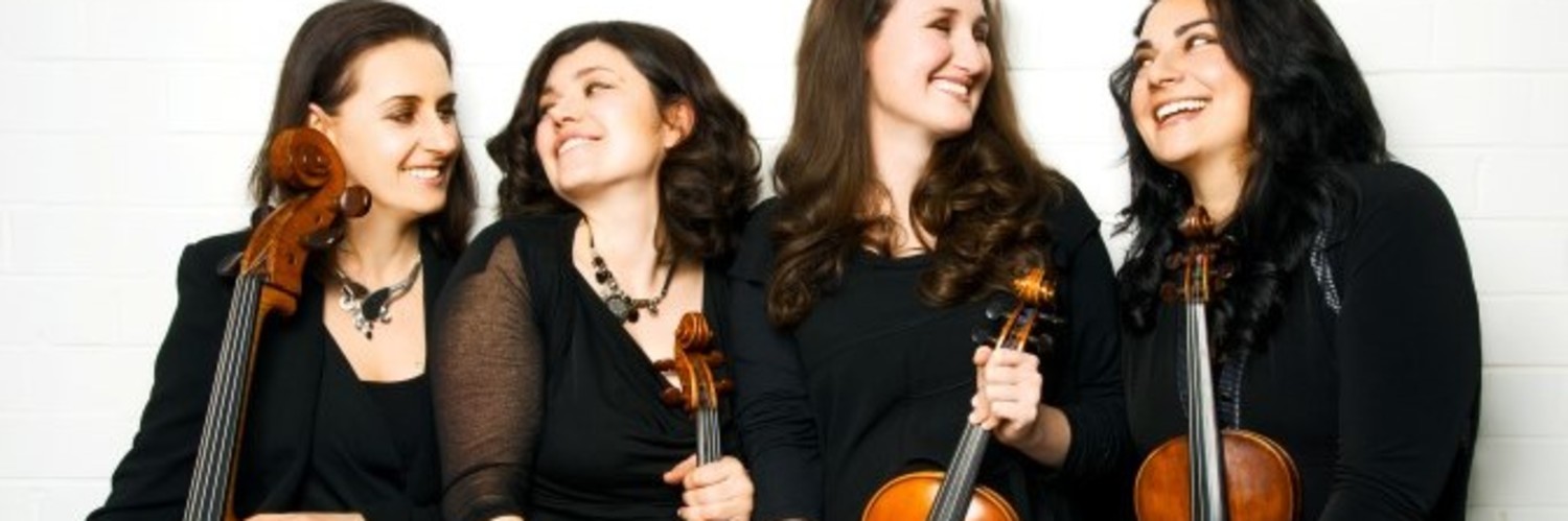 Animata, string quartet in Melbourne, photo 3