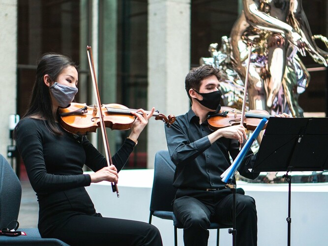 Melbourne Violin Co, violinist in Melbourne, photo 2