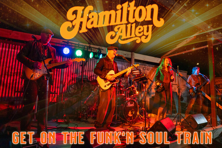 Hamilton Alley, cover band in Newcastle