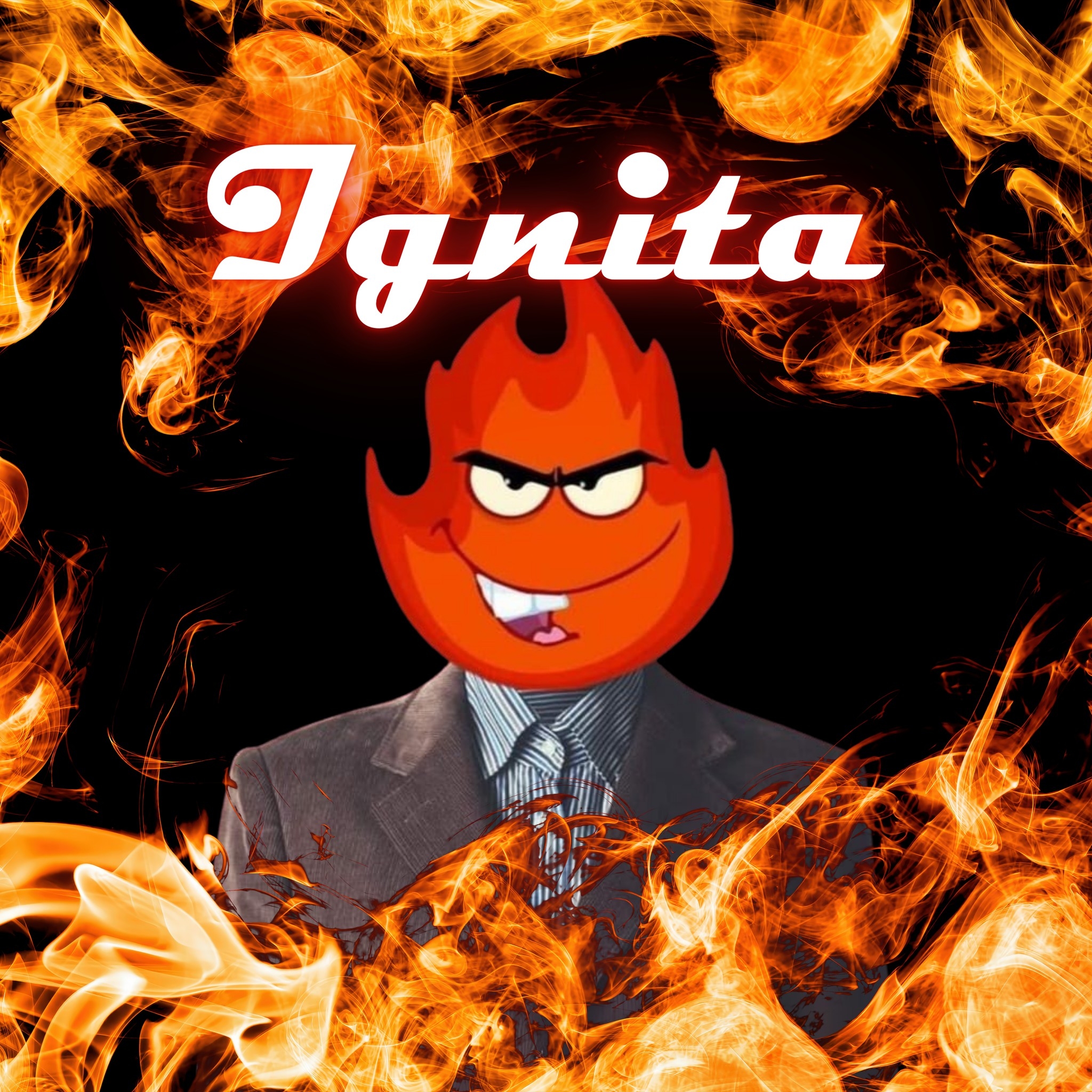 Ignita, cover band in Newcastle