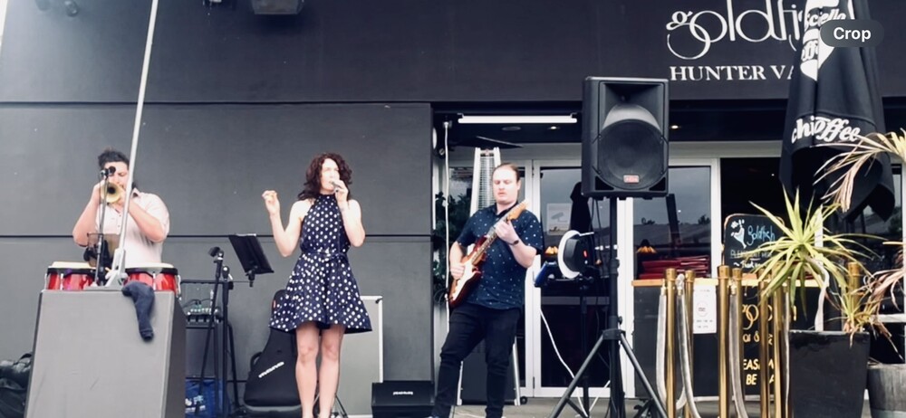 Mesmer, musical duo in Newcastle
