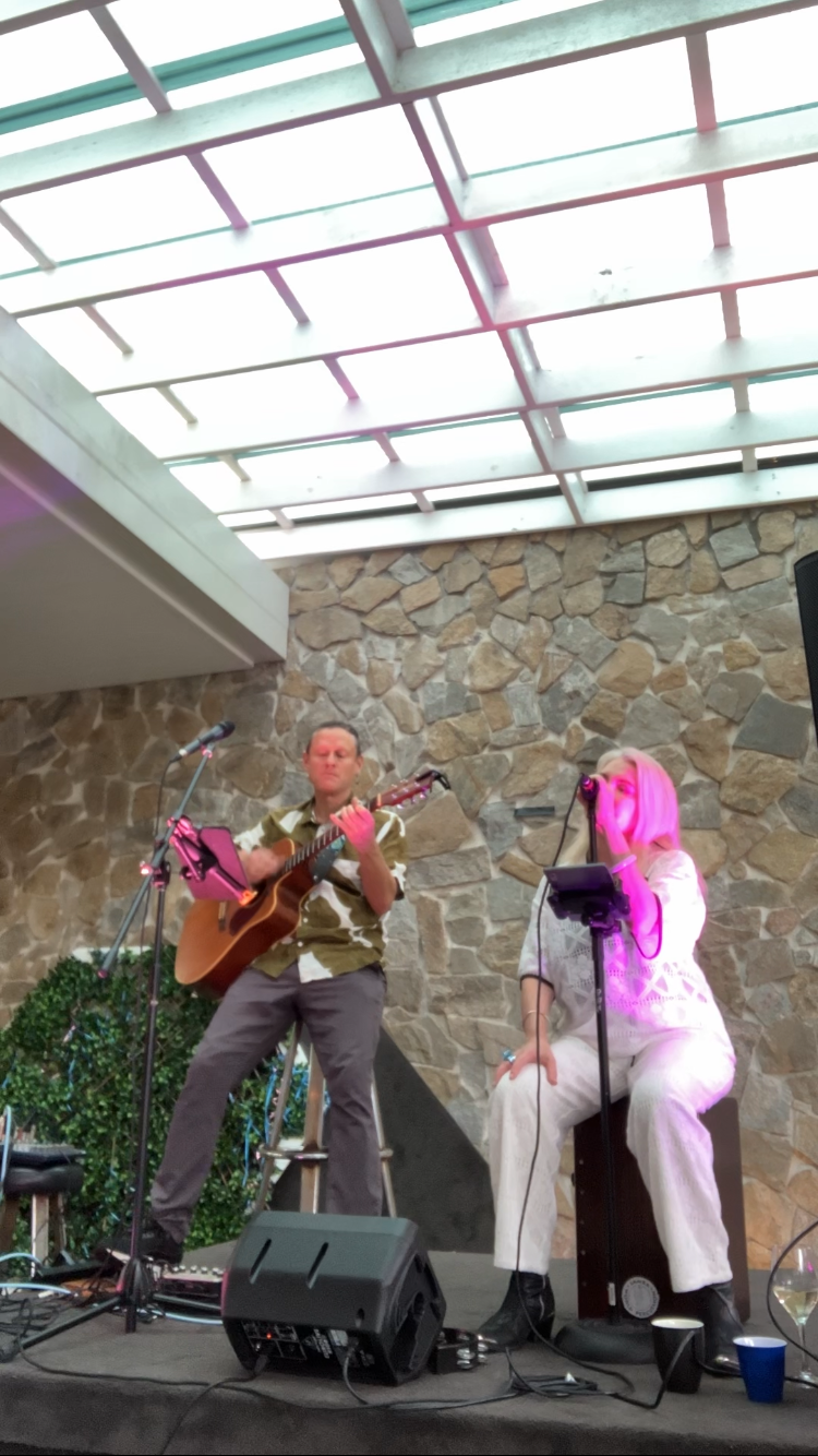Retro Tone Duo, musical duo in Newcastle, photo 2