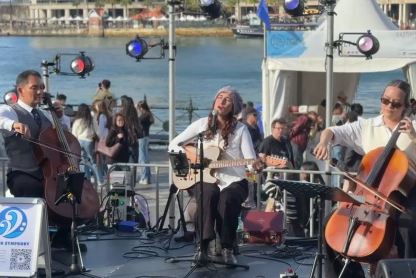 Beach Symphony - Modern Strings to Full Wedding Band, live in Sydney, photo 3