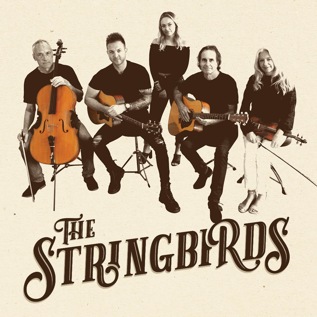 The Stringbirds, cover band in Perth, photo 2