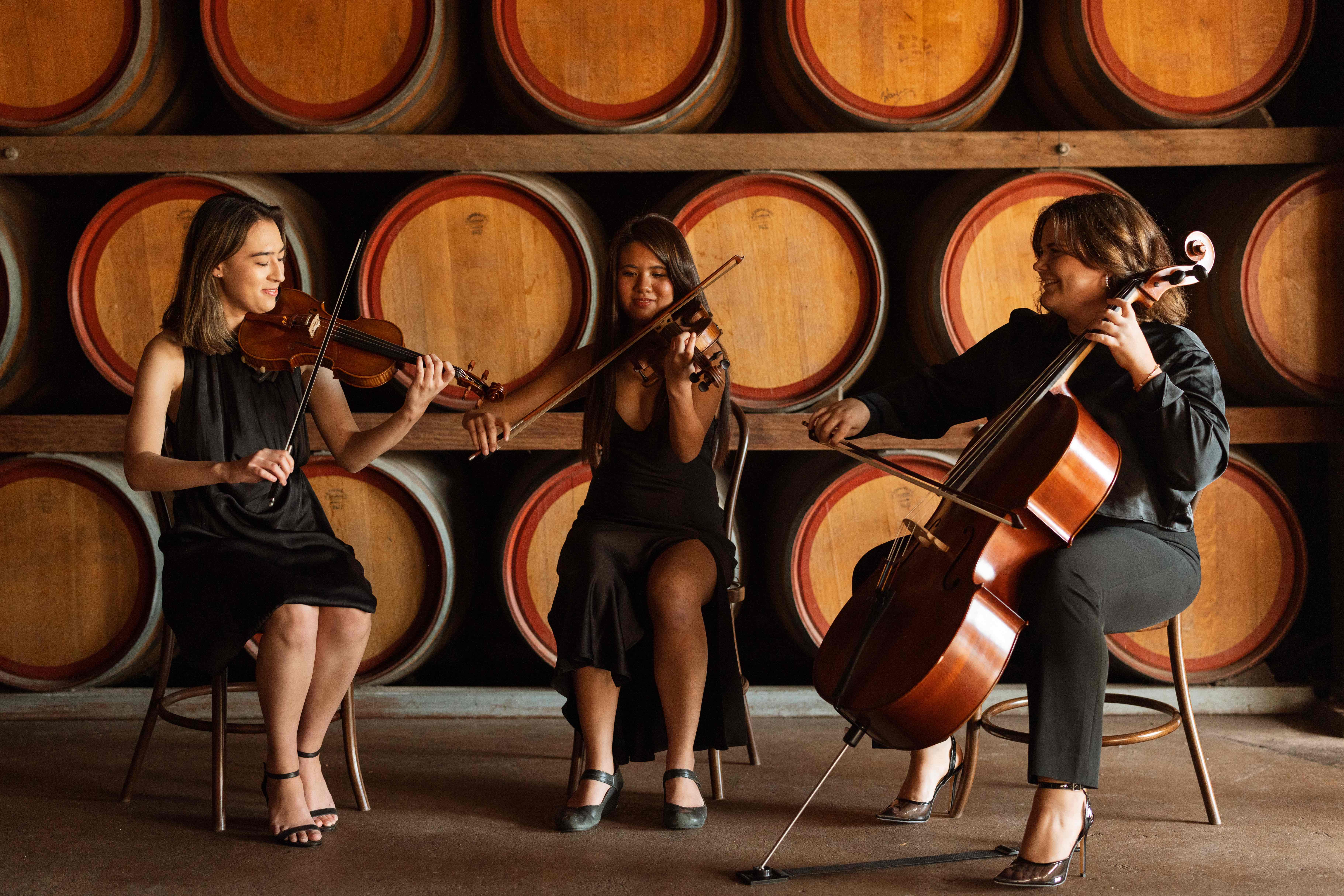 Amare Strings, string quartet in Perth