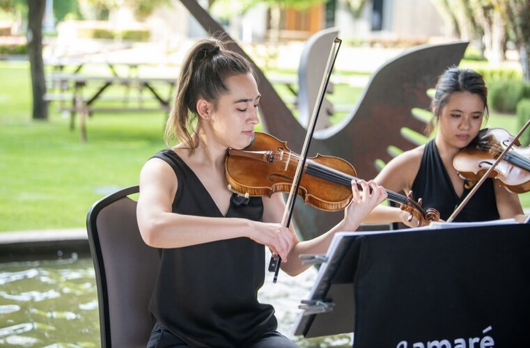 Amare Strings, string quartet in Perth, photo 3