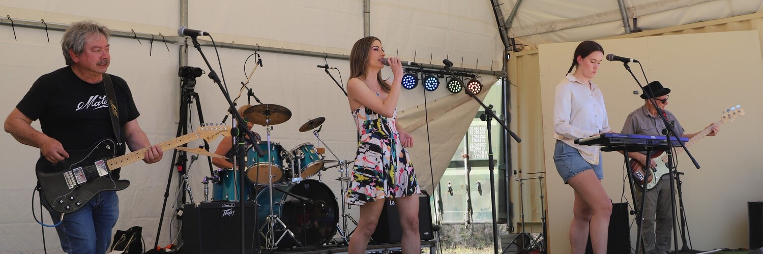 The Wildcards, cover band in Perth, photo 3