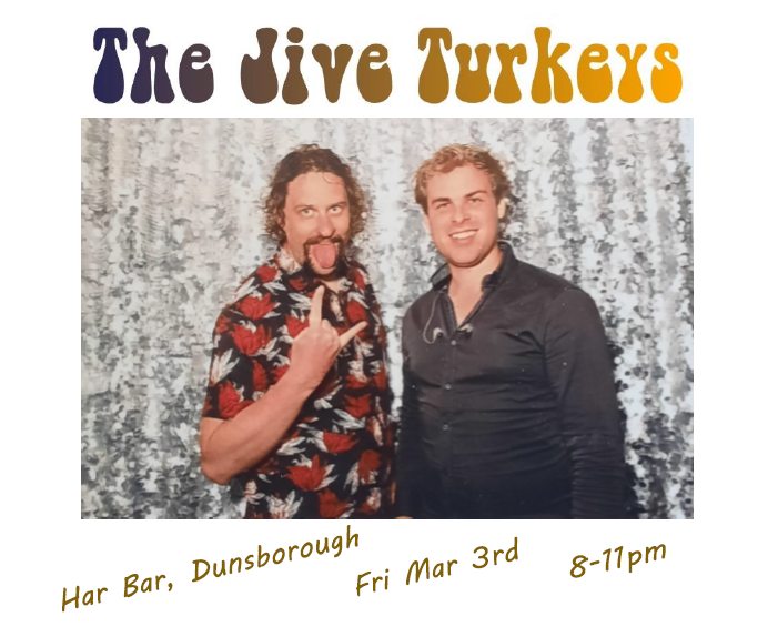 The Jive Turkeys, musical duo in Perth, photo 2