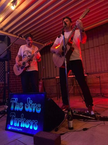 The Jive Turkeys, musical duo in Perth, photo 3