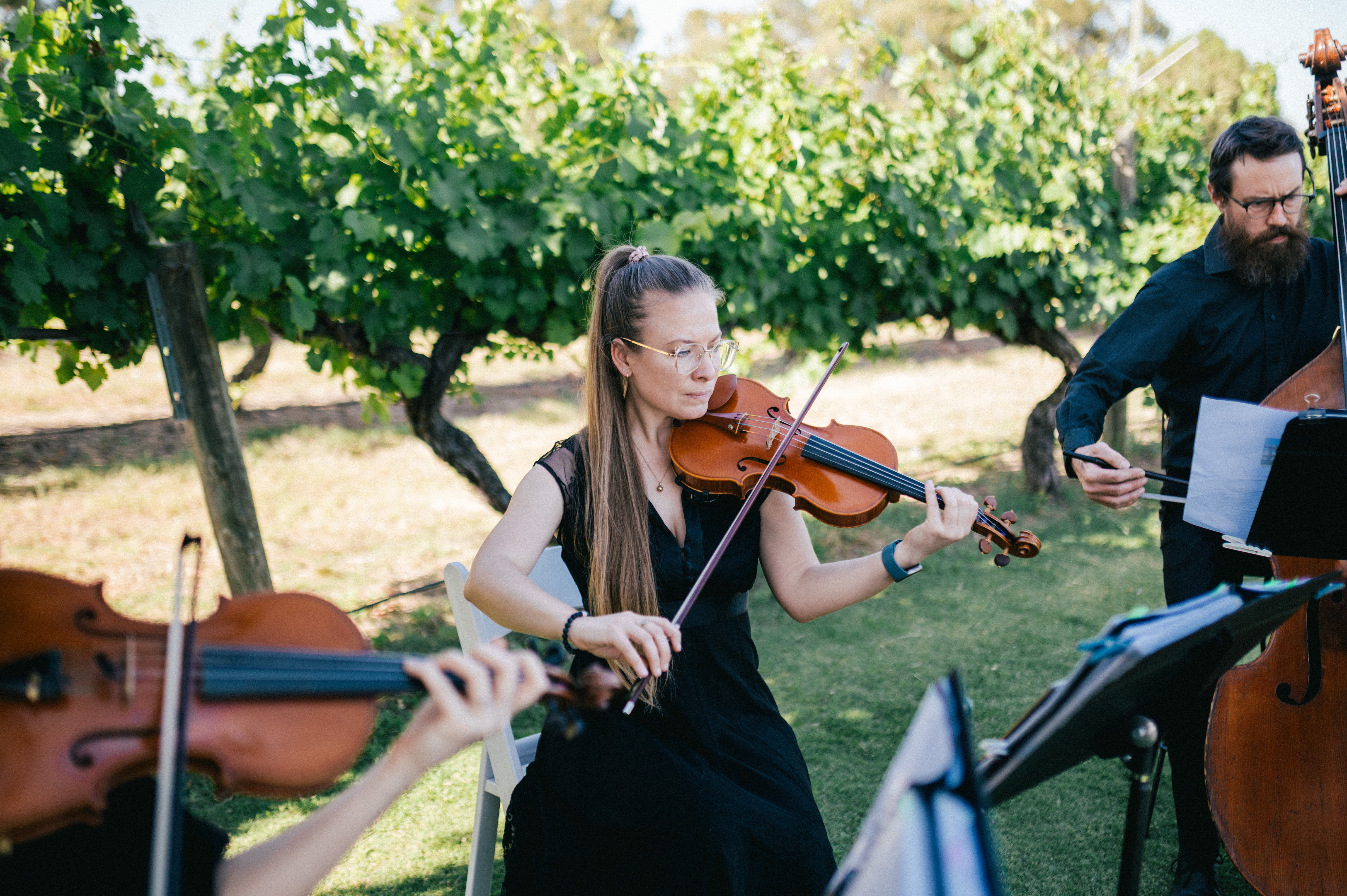 Quartet With A Twist, string quartet in Perth