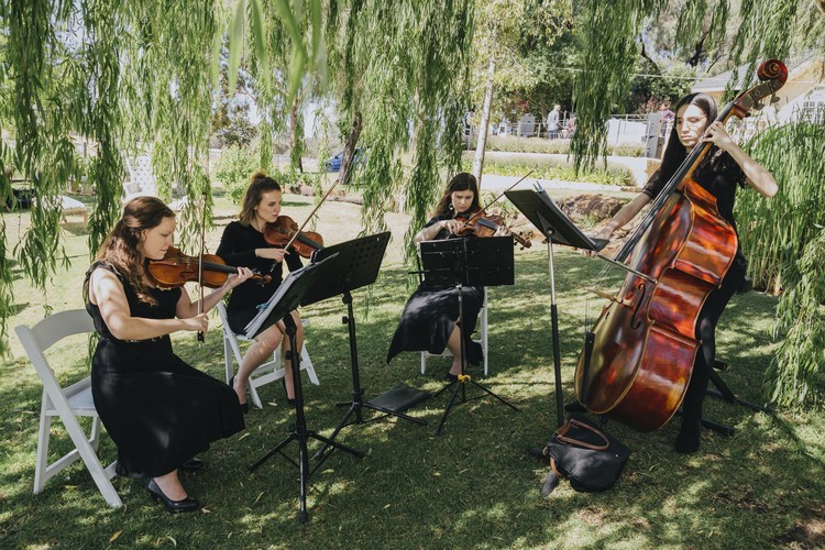 Quartet With A Twist, string quartet in Perth, photo 3