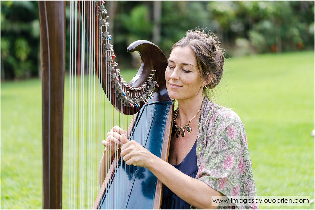 Harpist, harp player in Sunshine Coast