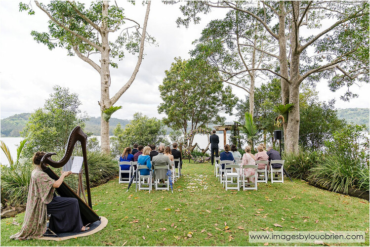 Harpist, harp player in Sunshine Coast, photo 3