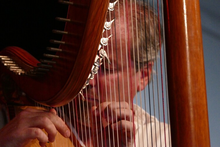 Kim Kirkman, harp player in Sunshine Coast, photo 3