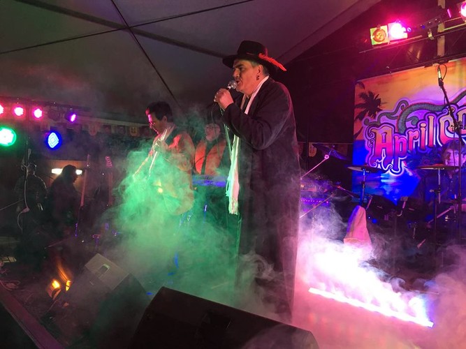 April Sons of Beaches, tribute band in Sunshine Coast, photo 3