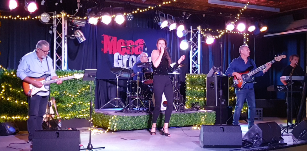 Mesa Groove, cover band in Sydney, photo 3