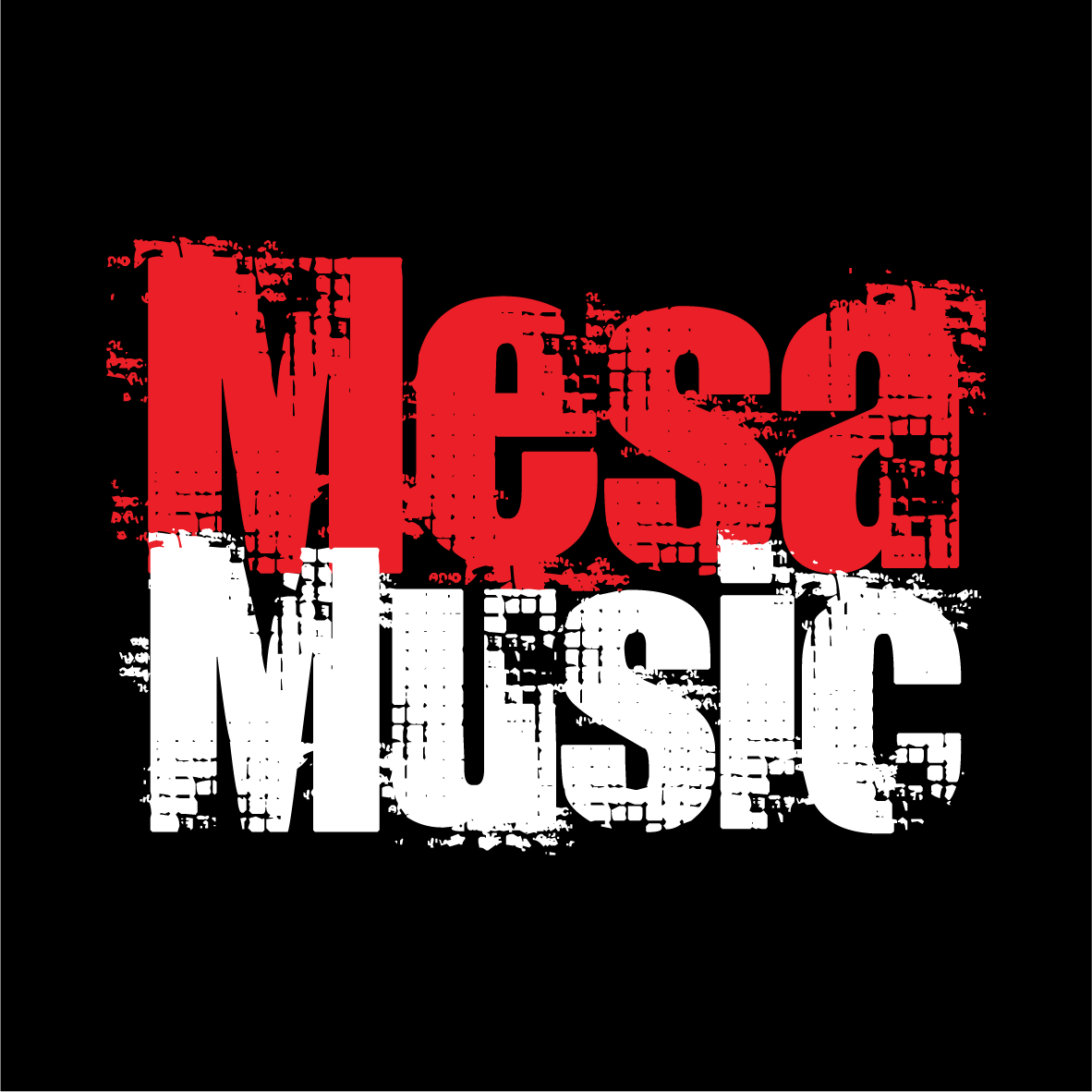 Mesa Music, cover band in Sydney, photo 2